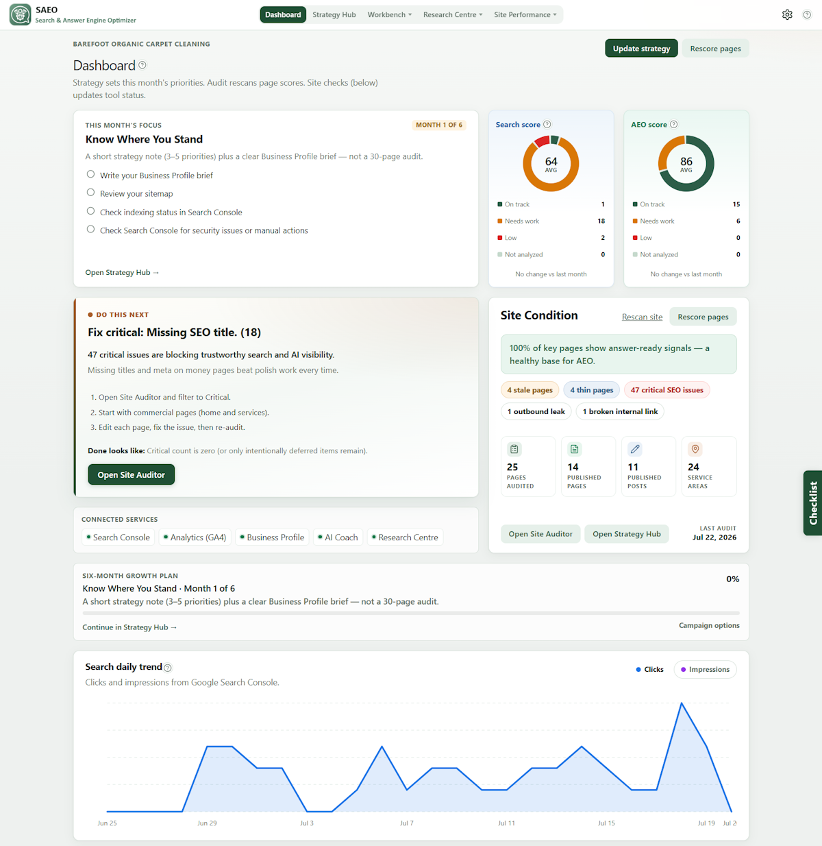 SAEO Dashboard with scores, Do this next, and site condition